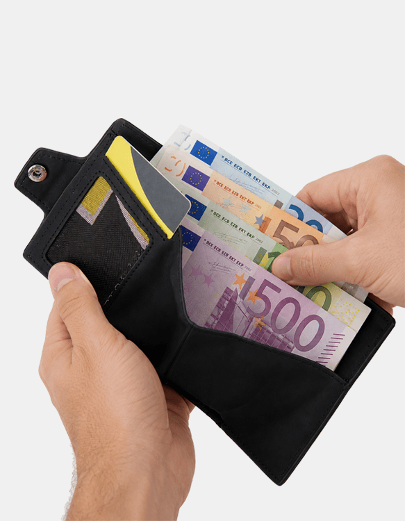 Denarnica Zimon črna